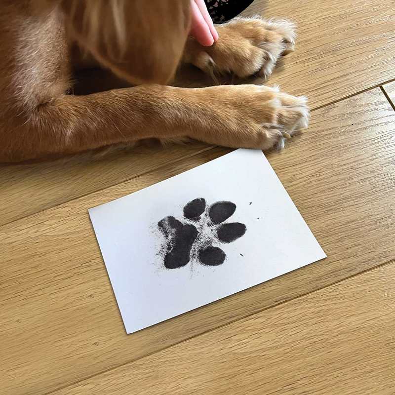 Pet Dog Footprint Handprint Pad